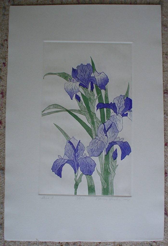 Iris 1 by Nancy Leslie, shown with full margins - original etching, signed and numbered edition of 150
