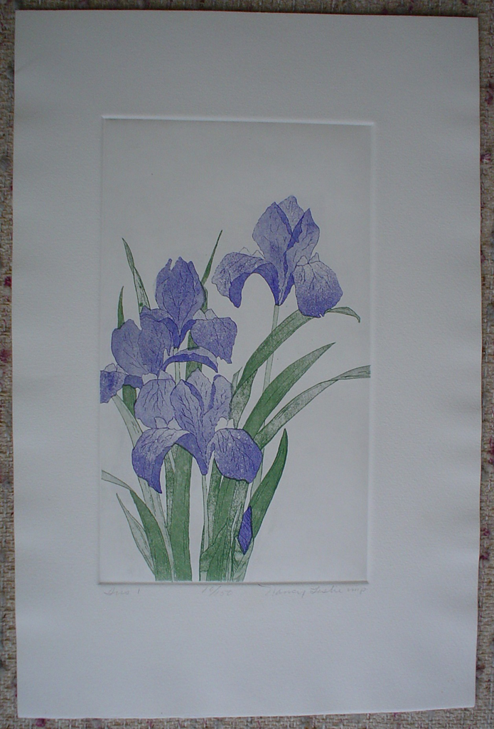 Iris 2 by Nancy Leslie, shown with full margins - original etching, signed and numbered edition of 150