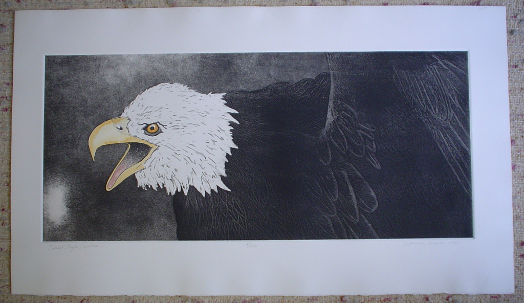 Bald Eagle by Nancy Leslie, shown with full margins - original etching, signed and numbered 18/ 150