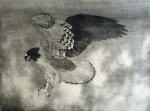 Red-Tailed Hawk by Nancy Leslie - original etching, signed and numbered edition of 150