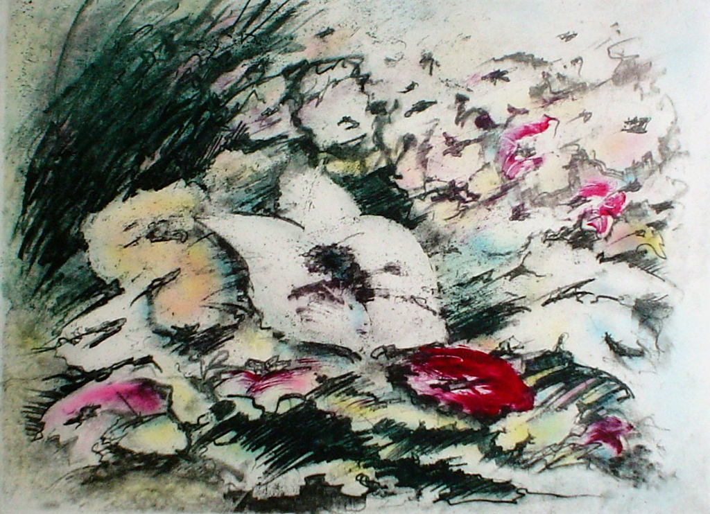 White Flower by JP Moro - original etching, signed and numbered 18/ 150
