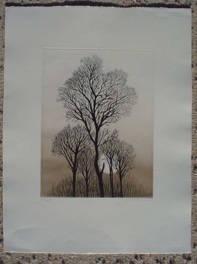 Full Moon Trees by Udo Nolte, shown with full margins - original etching, signed and numbered 29/ 200