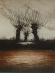 Three Trees by Udo Nolte - original etching, signed and numbered 74/ 150