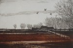 Farmhouse Fields With Birds by Udo Nolte - original etching, signed and numbered 100/ 150