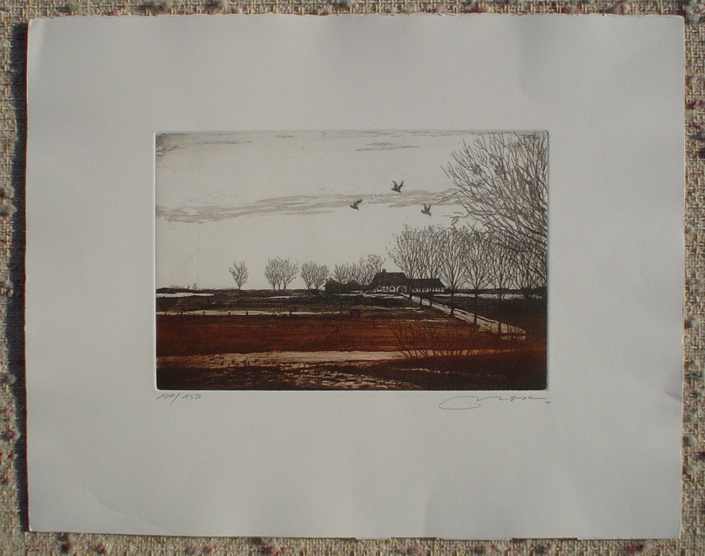 Farmhouse Fields With Birds by Udo Nolte, shown with full margins - original etching, signed and numbered 100/ 150