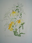 Daisy Medley by Rozy - embossed original print, signed and numbered 172/ 200