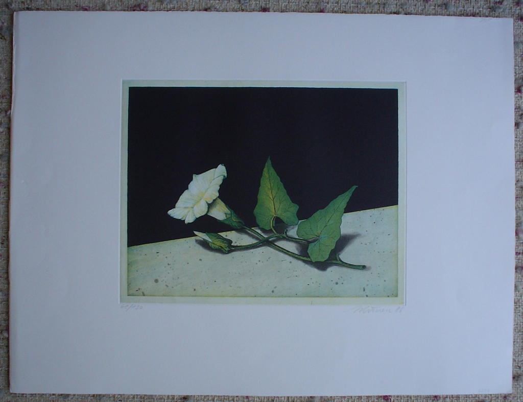 Morning Glory by Kurt Schoenen, shown with full margins - original engraving, signed and numbered 68/ 150