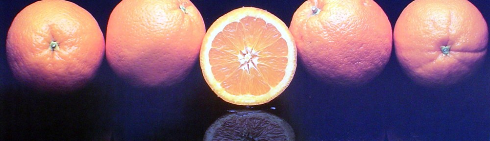 Oranges by Rick Davis - offset lithograph fine art photographic poster print