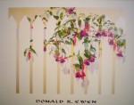 Fuchsia by Donald Ewen, hand-signed by artist - fine art poster print