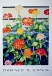 Zinnia by Donald Ewen - offset lithograph fine art poster print, hand-signed in pencil