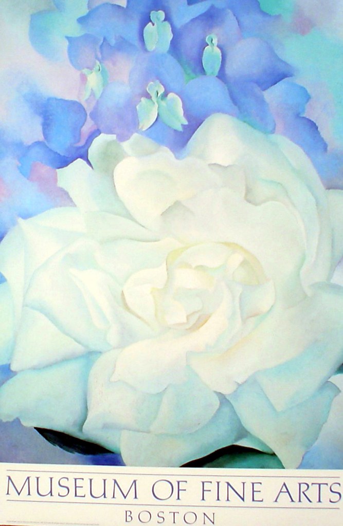 White Rose With Larkspur No 2 by Georgia O'Keeffe - offset lithograph fine art poster print