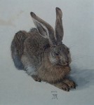 Young Hare, 1502 by Albrecht Dürer - authentic Albertina Museum collectible collotype fine art print