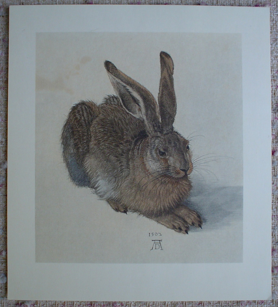 Young Hare, 1502 by Albrecht Dürer, shown with full margins - authentic Albertina Museum collectible collotype fine art print