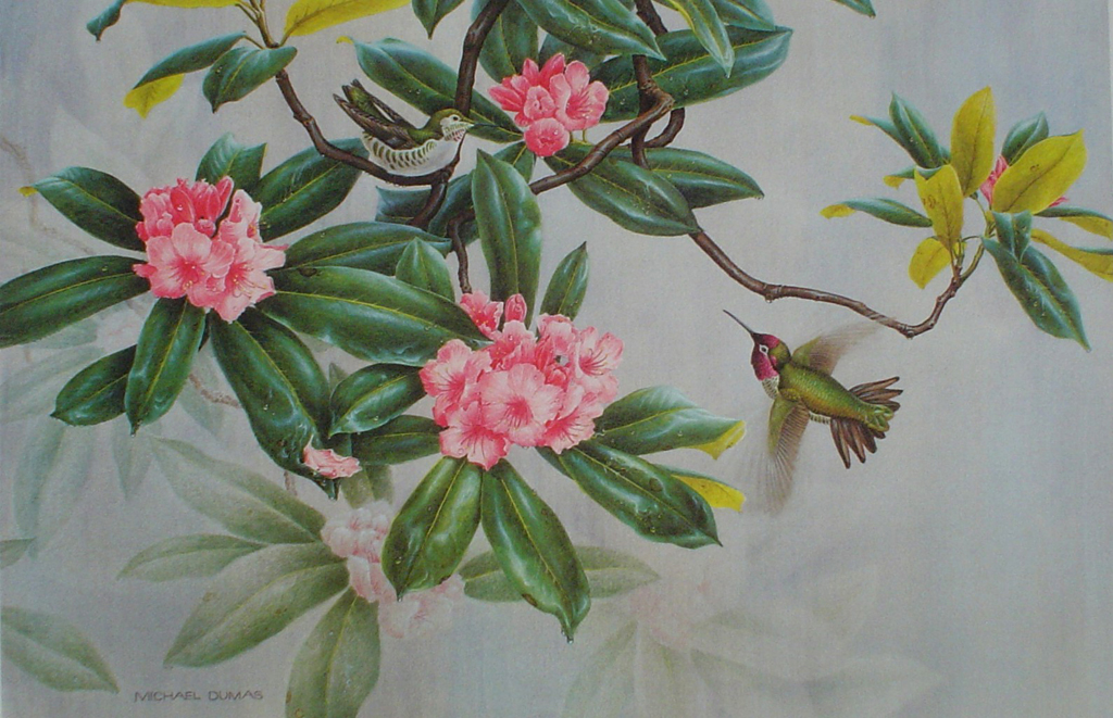 Hummingbird by Michael Dumas, signed by artist - offset lithograph fine art print