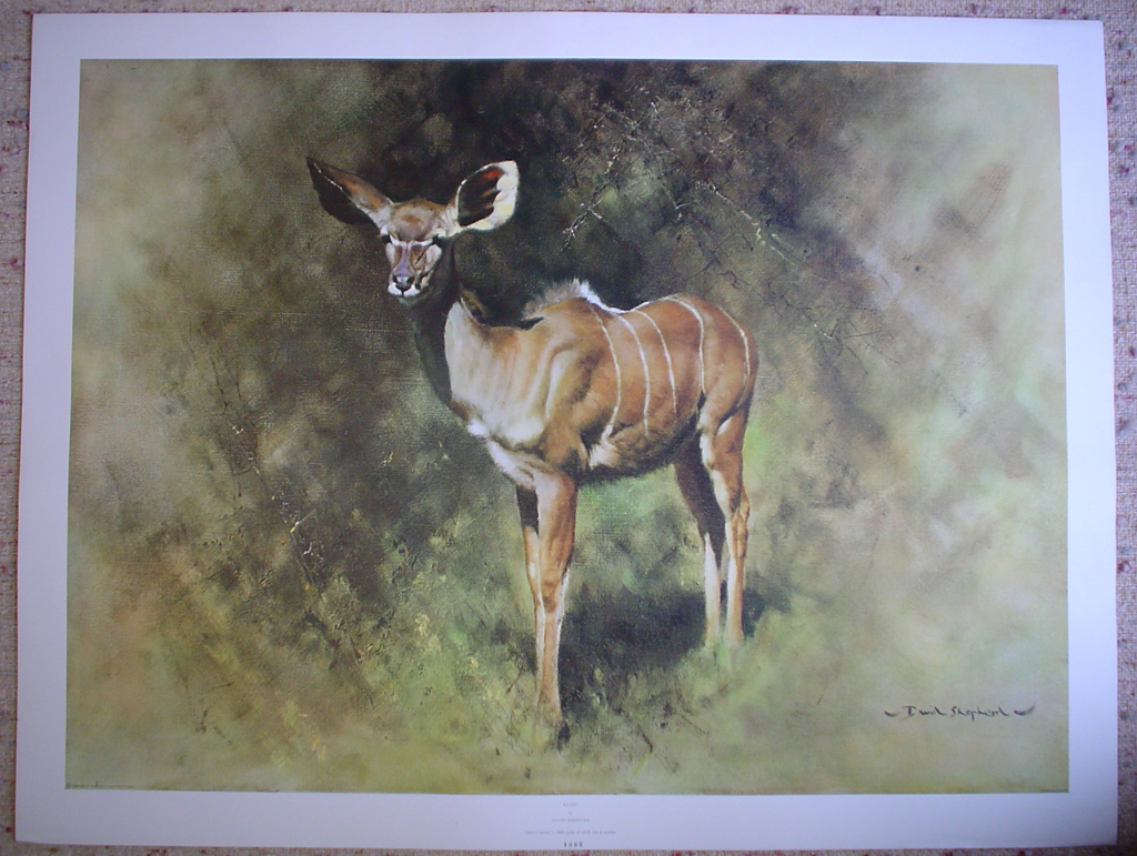 Kudu (Deer) by David-Shepherd, shown with full margins - limited 