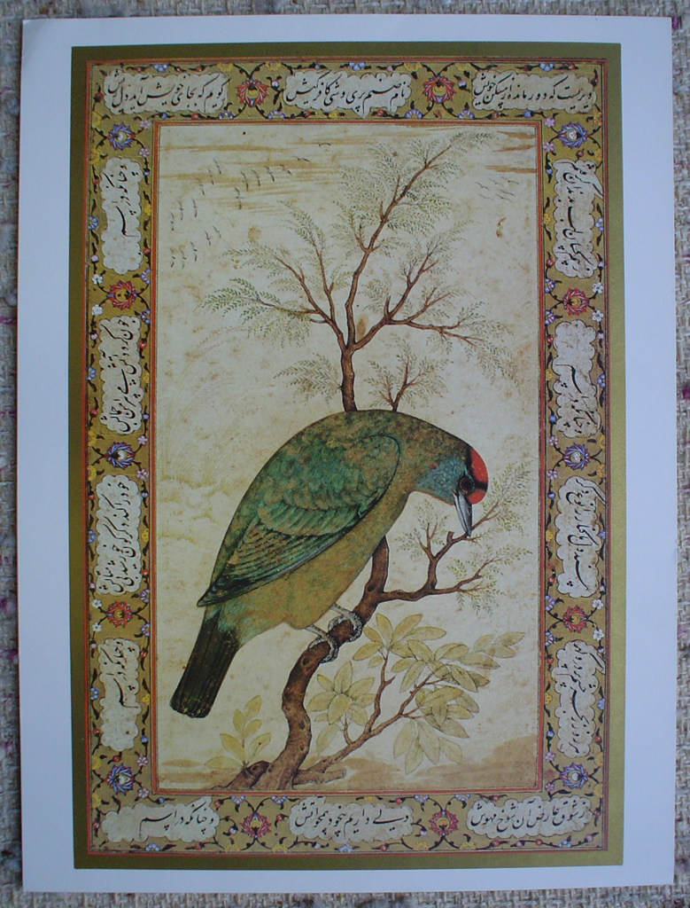 Himalayan Blue-Throated Berbet by unknown artist, UNESCO print, shown with full margins - offset lithograph fine art print