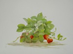 Strawberries by Nicolette Cross, signed by artist and numbered 12/175 - offset lithograph limited edition fine art print