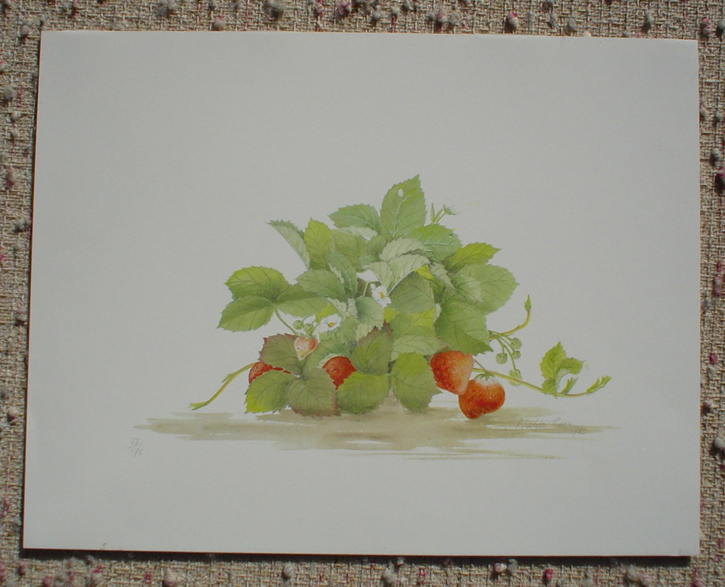 Strawberries by Nicolette Cross, signed by artist and numbered 12/175, shown with full margins - offset lithograph limited edition fine art print