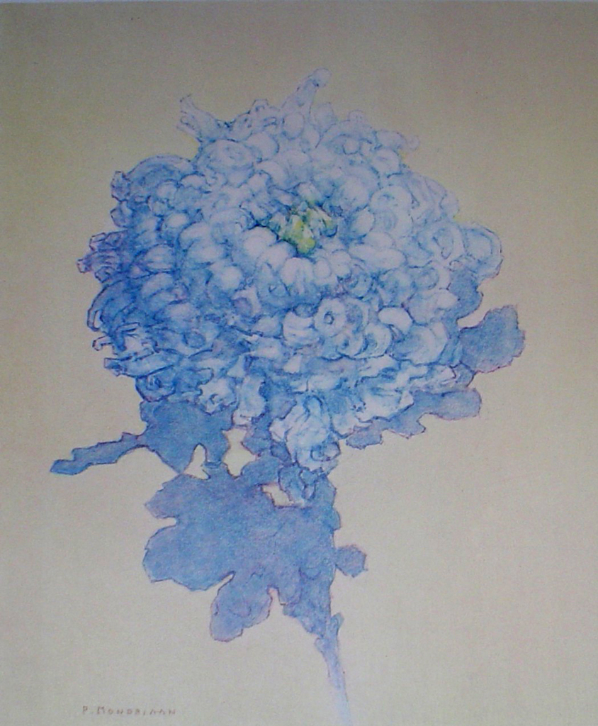 Blue Chrysanthemum by Piet Mondrian - collectible collotype fine art print