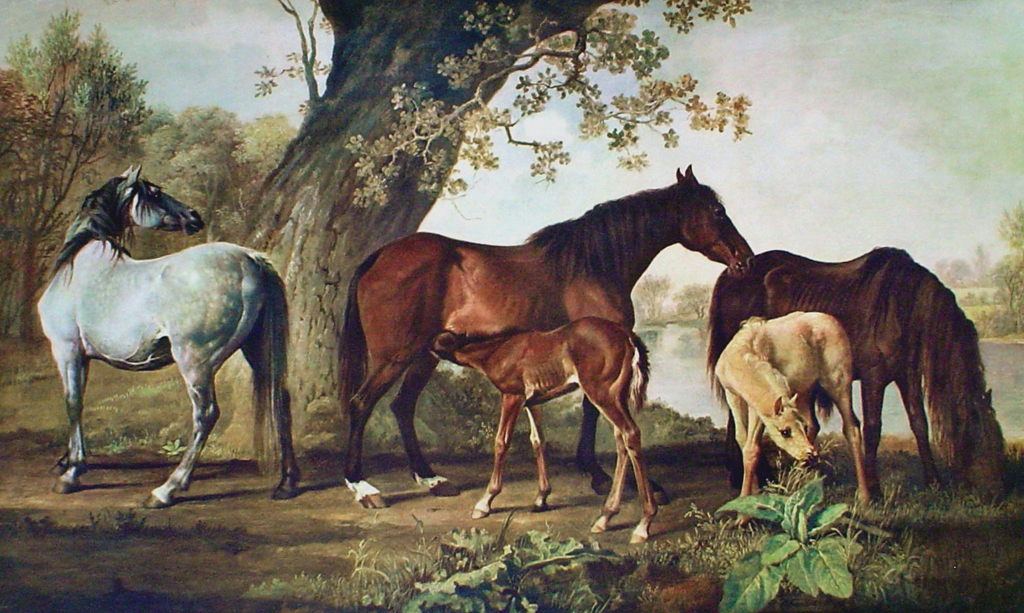 Mares And Foals by George Stubbs - collectible collotype fine art print