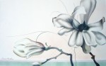 Magnolia Flower by Oscar Tejeda - offset lithograph fine art print