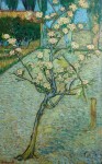 Peartree In Bloom by Vincent Van Gogh - offset lithograph fine art print
