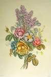 Mixed Flowers Roses Lilacs by Jean-Louis Prevost - restrike etching, handcoloured original print