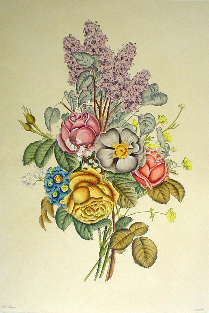 Mixed Flowers Roses Lilacs by Jean-Louis Prevost - restrike etching, handcoloured original print