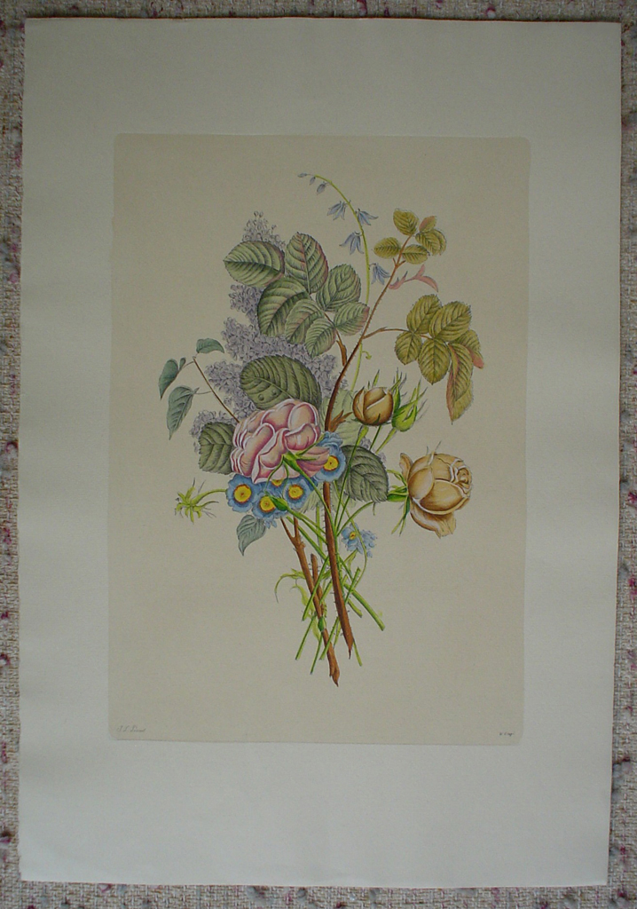 Flowers Lilacs Roses by Jean-Louis Prevost, shown with full margins - restrike etching, handcoloured original print