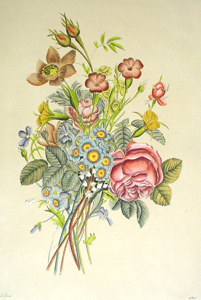 Flowers Rose Buds by Jean-Louis Prevost - restrike etching, handcoloured original print