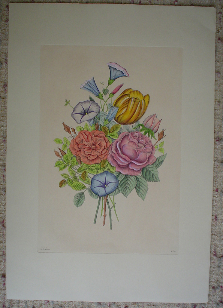 Mixed Flowers Petunia by Jean-Louis Prevost, shown with full margins - restrike etching, hand-coloured original print