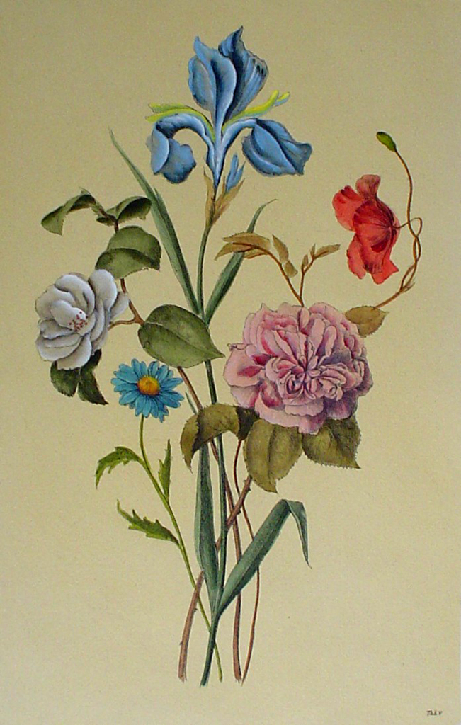Botanical, Mixed Flowers Iris by unknown artist - restrike etching, hand-coloured original print