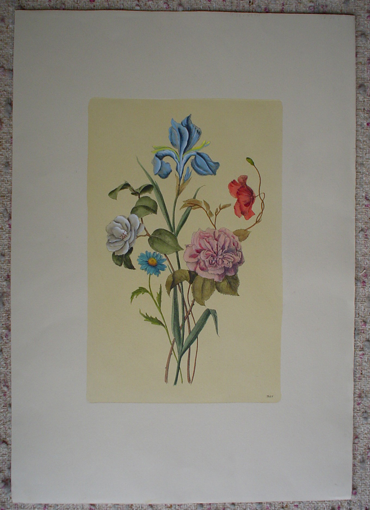 Botanical, Mixed Flowers Iris by unknown artist, shown with full margins - restrike etching, hand-coloured original print