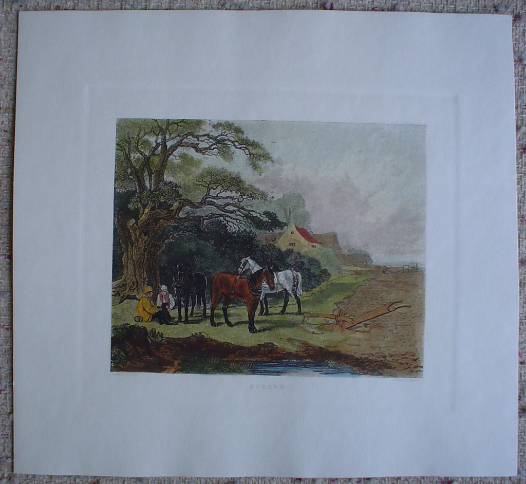 Spring by John Dearman, shown with full margins - restrike etching, hand-coloured original print
