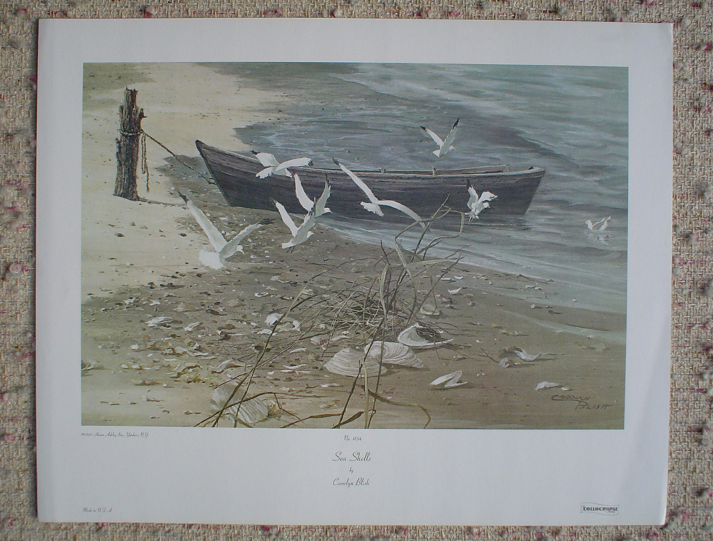 Sea Shells by Carolyn Blish, shown with full margins - offset lithograph fine art print