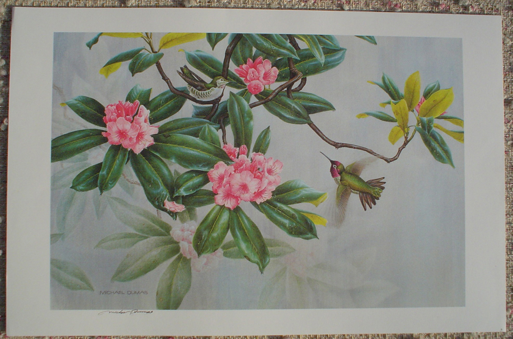 Hummingbird by Michael Dumas, signed by artist, shown with full margins - offset lithograph fine art print