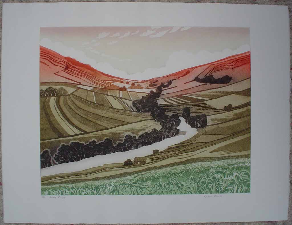 Swale Valley by Robert Barnes, shown with full margins - original etching, signed and numbered 25/ 100
