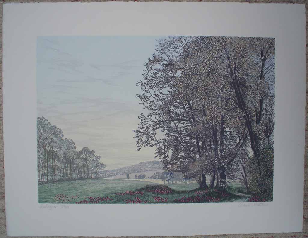 Glenlaggan by Dawn Matthews, shown with full margins - original lithograph, signed and numbered 223/ 275