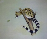 Genet And The Beautiful Sunbird by Andrew Cooper - offset lithograph reproduction vintage fine art print