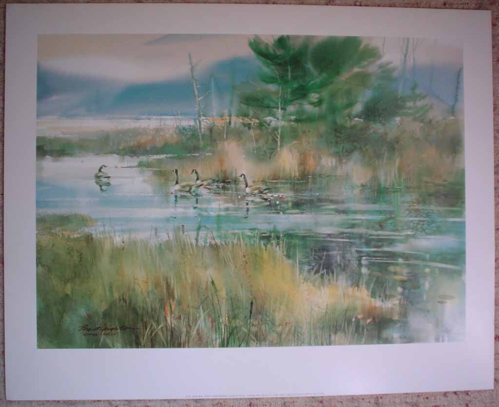 Summer Marsh: Canada Geese by Brent Heighton, shown with full margins - offset lithograph reproduction vintage fine art print