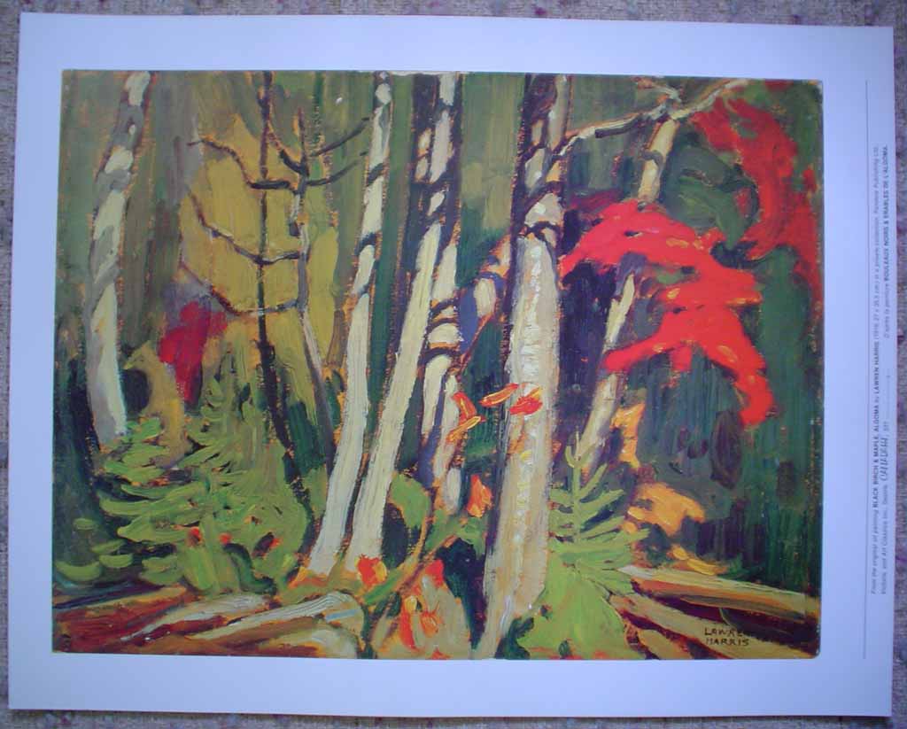 Black Birch And Maple, Algoma by Lawren Stewart Harris, Group of Seven, shown with full margins - offset lithograph reproduction vintage fine art print