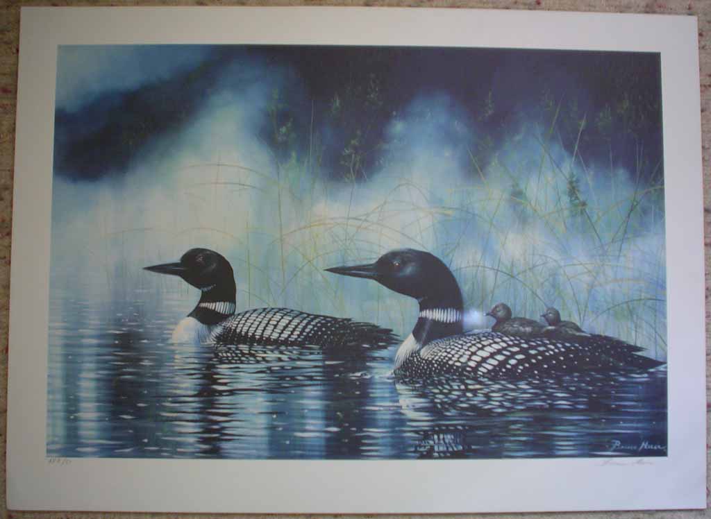 Duck Family Swimming (untitled) by Bruce Muir, shown with full margins - hand-numbered AP 8/50 and signed by the artist - limited edition artist's proof offset lithograph vintage fine art print