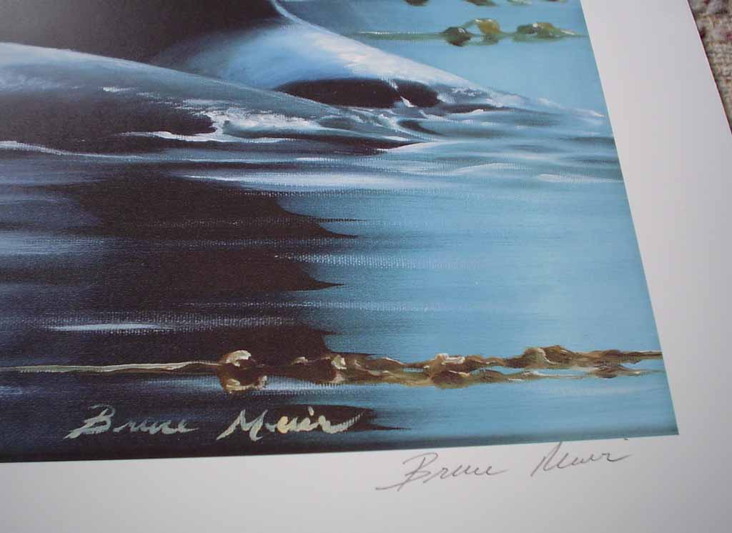 Kingdom Of The Orca by Bruce Muir, detail to show signature - hand-numbered AP 37/50, titled and signed by the artist - limited edition artist's proof offset lithograph vintage fine art print