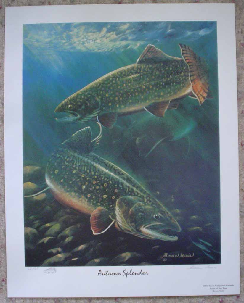 Autumn Splendor: Trout 1994 by Bruce Muir, shown with full margins - hand-numbered 62/65 and signed by the artist - limited edition offset lithograph vintage fine art print