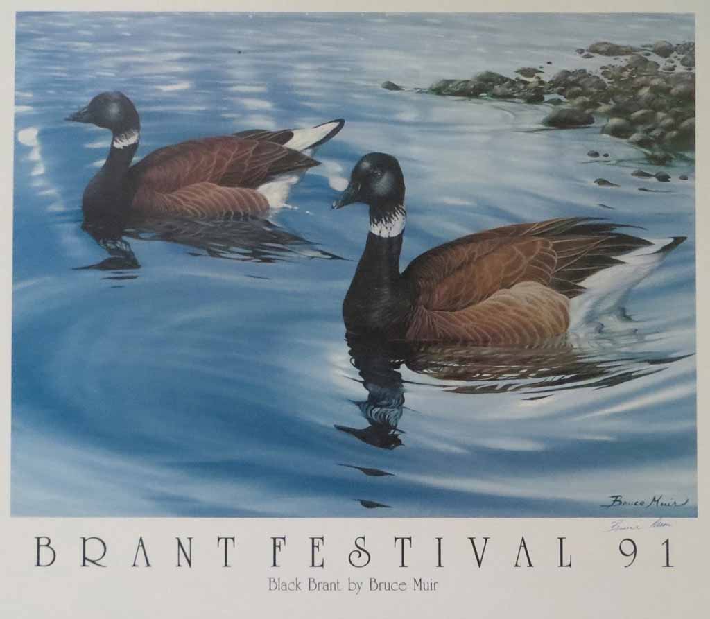 Black Brant by Bruce Muir, Brant Festival 1991 - hand-signed by artist - offset lithograph reproduction vintage fine art poster print