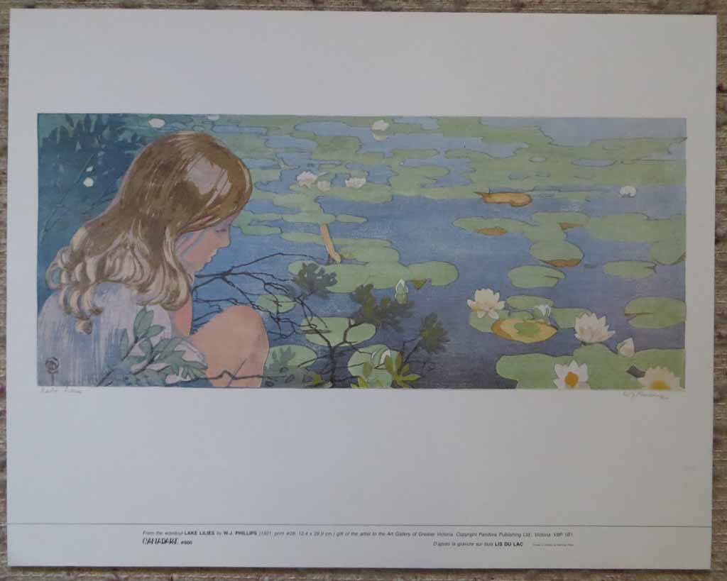 Lake Lilies by Walter Joseph (W.J.) Phillips, shown with full margins - offset lithograph reproduction vintage fine art print