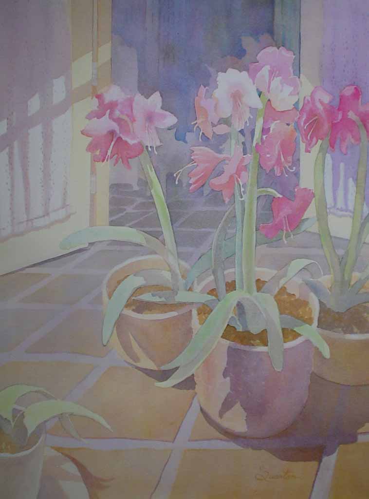 Amaryllis Pots by Lori Quarton - offset lithograph reproduction vintage fine art print