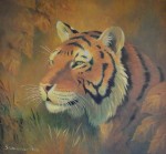 Portrait Of A Tiger by Rama Samaraweera - offset lithograph reproduction vintage fine art print