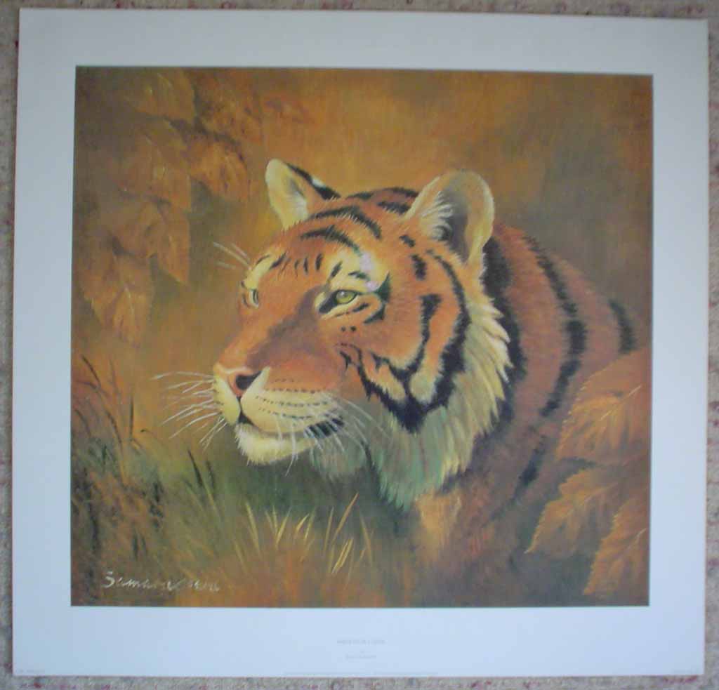Portrait Of A Tiger by Rama Samaraweera, shown with full margins - offset lithograph reproduction vintage fine art print