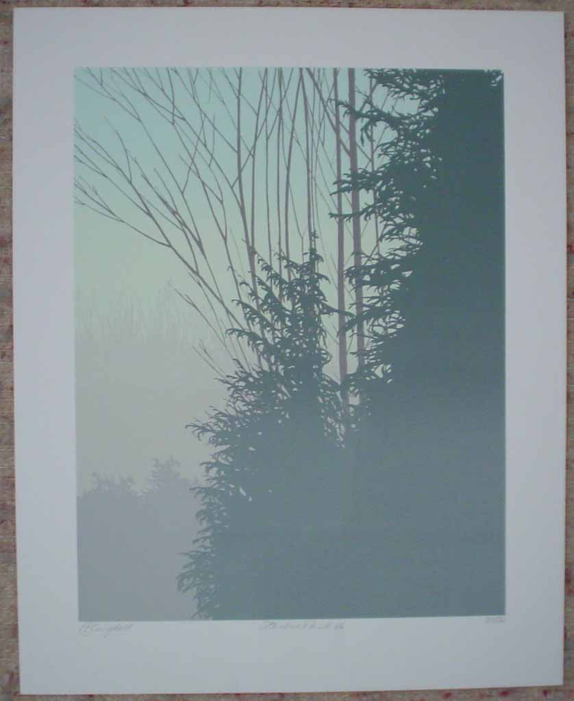 Stanley Park '86 by Leyda Campbell, shown with full margins - original screenprint/silkscreen limited edition fine art print, signed, titled and numbered 35/86 by artist